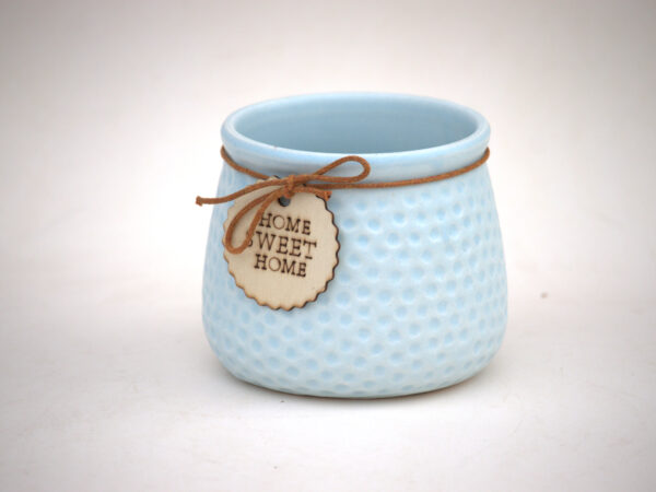 Ceramic Flower Pot Nestleya (Set of 2)- Powder Blue